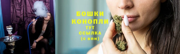 PSILOCYBIN Беломорск