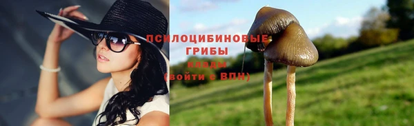 PSILOCYBIN Беломорск