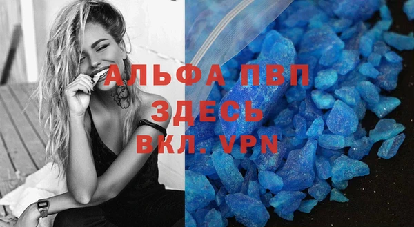 a pvp Белокуриха
