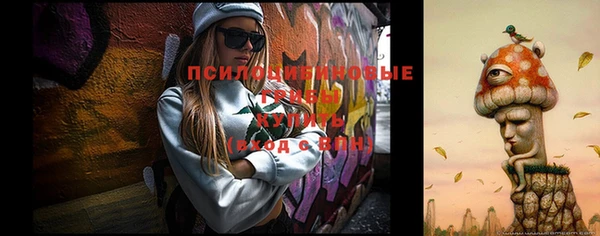 a pvp Белокуриха