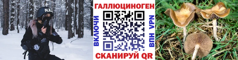 Галлюциногенные грибы мухоморы  Заозёрск 